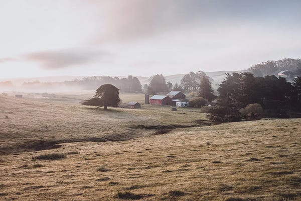 Heather Roberson: Sunrise On The Farm by Heather Roberson