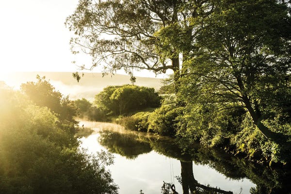 Heather Roberson: Morning Glory by Heather Roberson