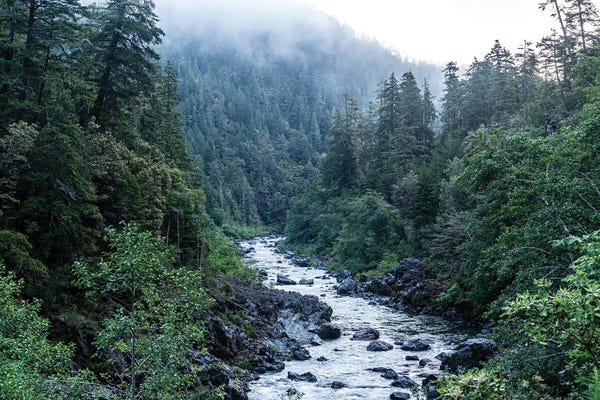 Heather Roberson: Sunrise On The River by Heather Roberson