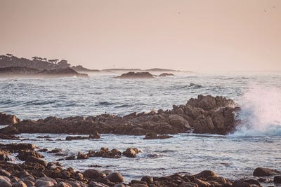 Blue Dreaming by Heather Roberson gallery poster