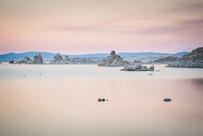 Pretty In Pink by Heather Roberson gallery poster