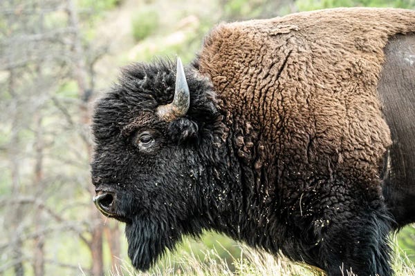 Heather Roberson: All Quiet On The Western Front by Heather Roberson