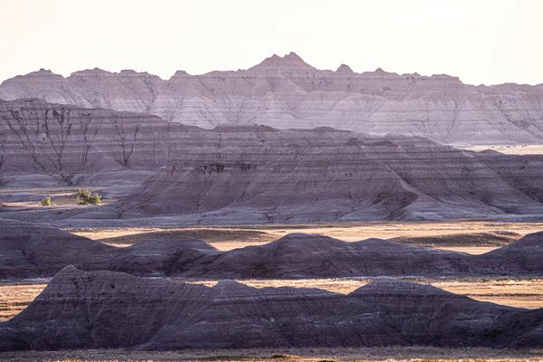 Heather Roberson: Mako Sica by Heather Roberson