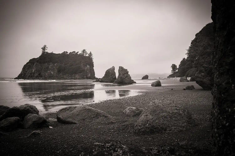 Ruby Beach In Black And White