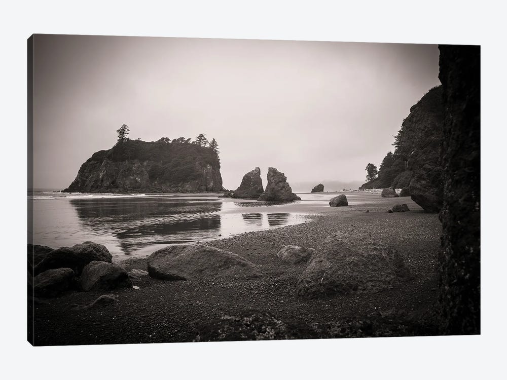 Ruby Beach In Black And White by Heather Roberson 1-piece Art Print