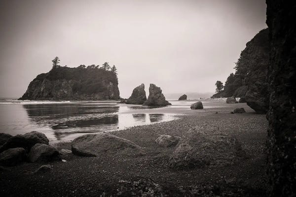 Heather Roberson: Ruby Beach In Black And White by Heather Roberson