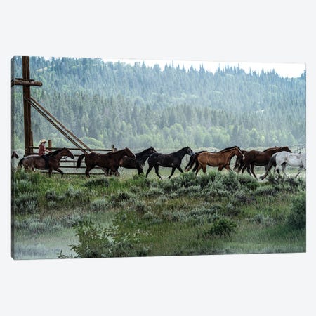 Round Up Canvas Print #HRB82} by Heather Roberson Canvas Artwork