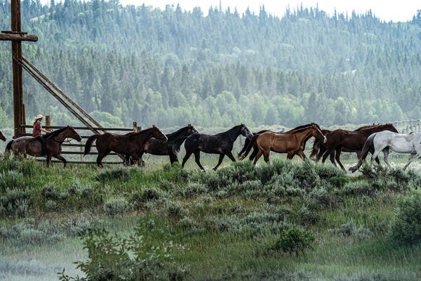 Heather Roberson: Round Up by Heather Roberson