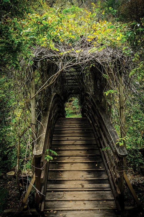 Verdant Bridge by Heather Roberson wall art