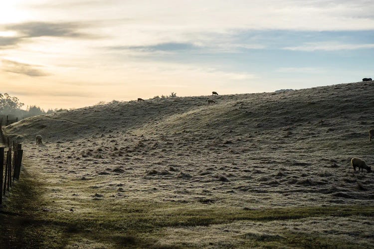 Winter Morning In The Country