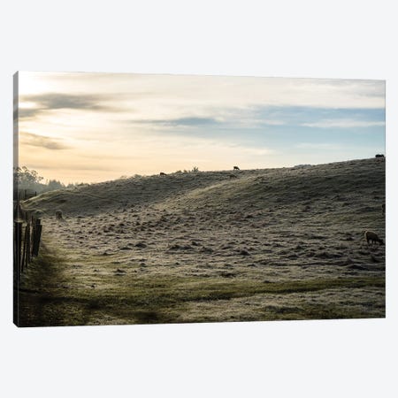 Winter Morning In The Country Canvas Print #HRB9} by Heather Roberson Canvas Wall Art
