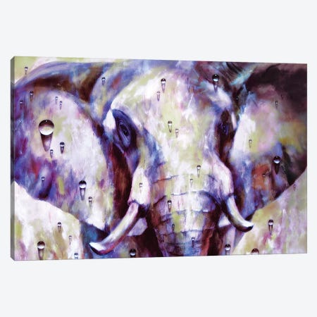 Elephant Canvas Print #HRH28} by HRH EMERALD Canvas Art