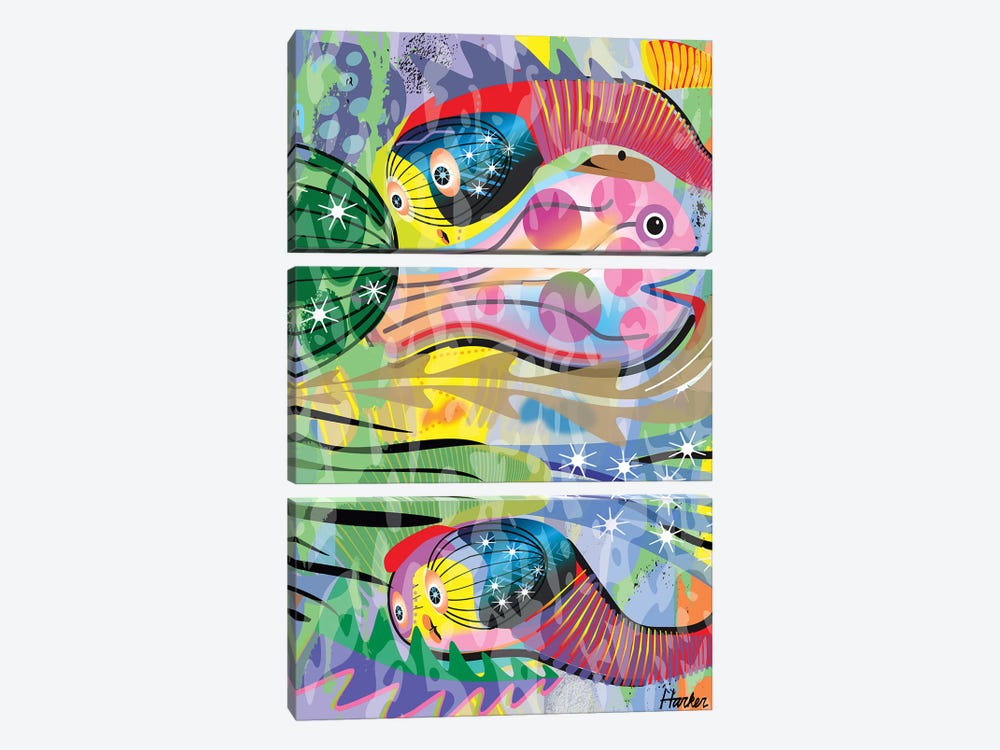 Hippy Fish in Rainbow by Charles Harker 3-piece Canvas Wall Art