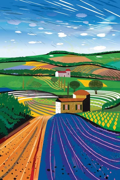 Charles Harker: Lavender Farm by Charles Harker