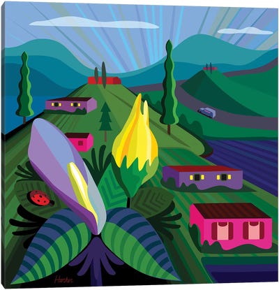 Lake Chapala Canvas Art Print - Hill & Hillside Art