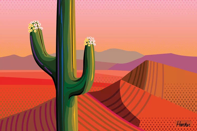 Saguaro Bloom by Charles Harker wall art