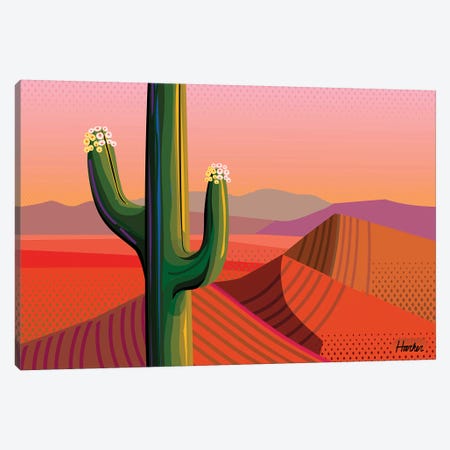 Saguaro Bloom Canvas Print #HRK151} by Charles Harker Art Print