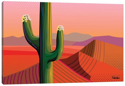 Saguaro Bloom Canvas Art Print - Succulent Art