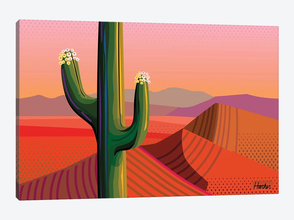 Saguaro Bloom 1-piece Canvas Art