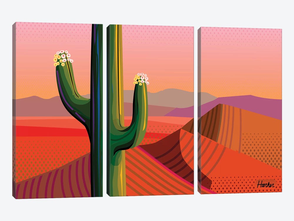 Saguaro Bloom by Charles Harker 3-piece Canvas Wall Art