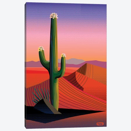 Saguaro Blossom Sunset Canvas Print #HRK152} by Charles Harker Canvas Art Print