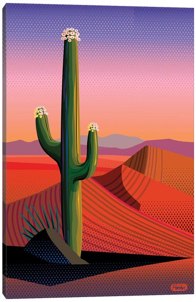 Saguaro Blossom Sunset Canvas Art Print - Succulent Art