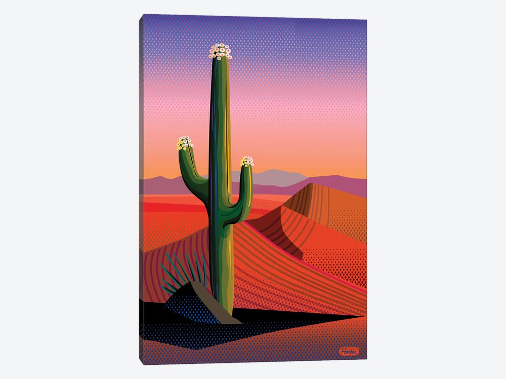 Saguaro Blossom Sunset 1-piece Canvas Art Print