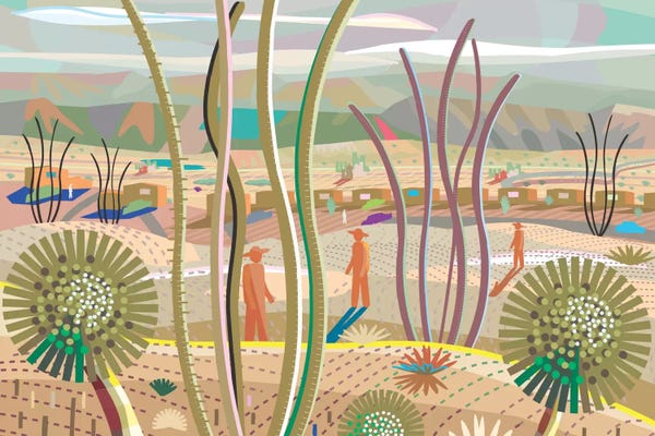 Latin Décor: Joshua Tree by Charles Harker