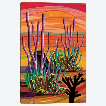 Ajo Canvas Print #HRK166} by Charles Harker Canvas Print
