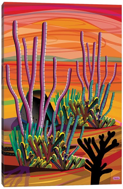 Ajo Canvas Art Print - Cactus Art
