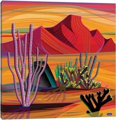 Cactus Garden Canvas Art Print - Succulent Art