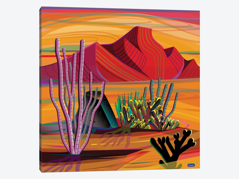 Cactus Garden by Charles Harker 1-piece Canvas Print