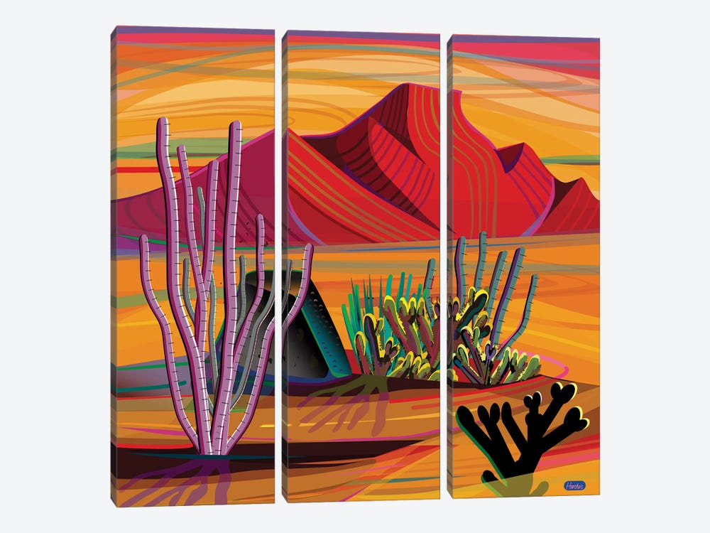 Cactus Garden by Charles Harker 3-piece Canvas Art Print