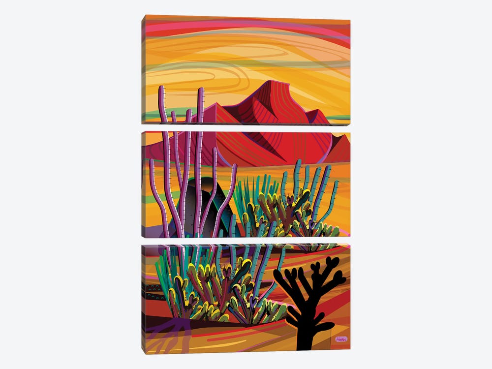 Cactus Oasis by Charles Harker 3-piece Canvas Print
