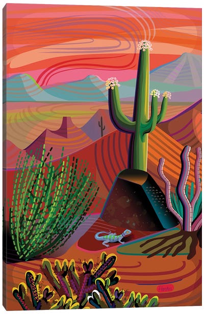 Gila River Desert Sunset Canvas Art Print - Plant Art