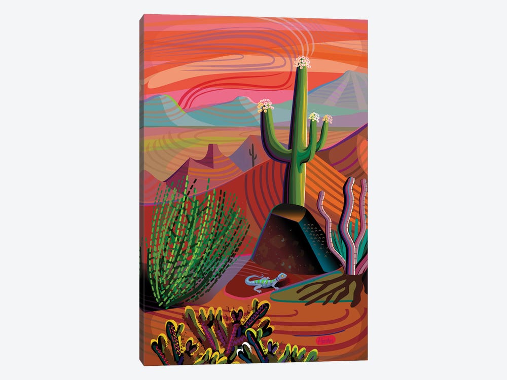 Gila River Desert Sunset by Charles Harker 1-piece Canvas Art Print