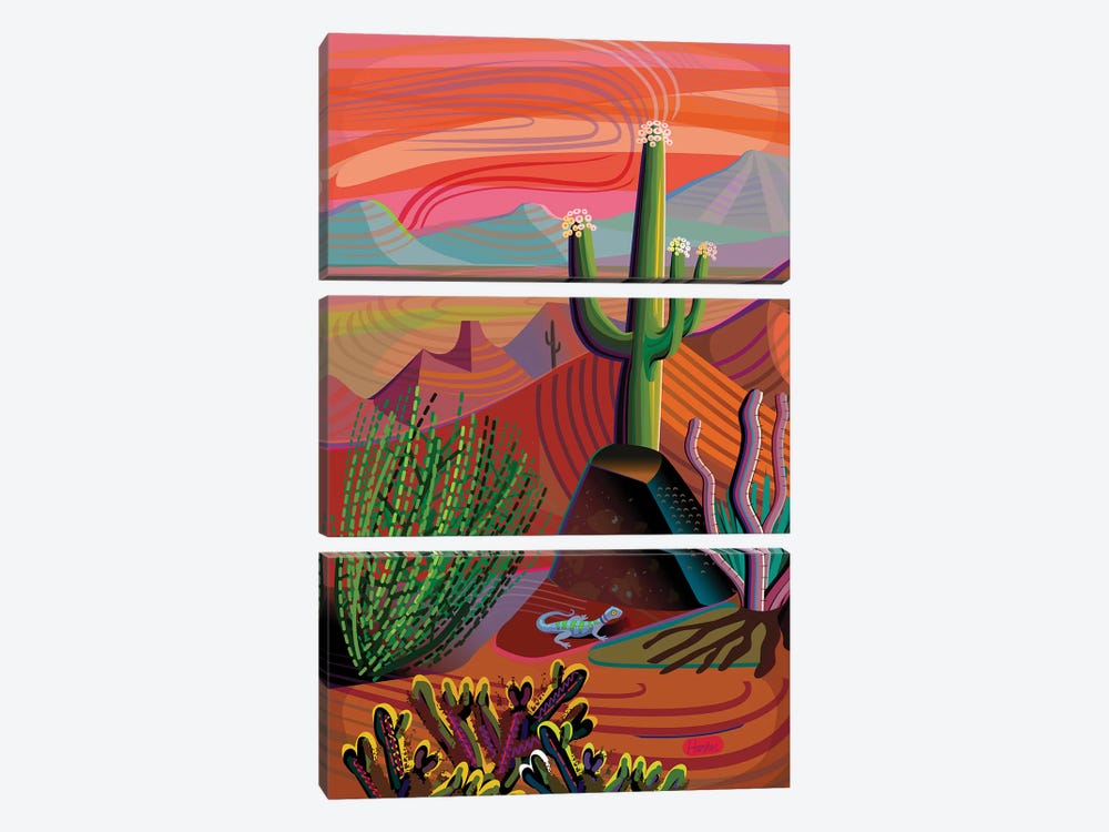 Gila River Desert Sunset by Charles Harker 3-piece Canvas Print