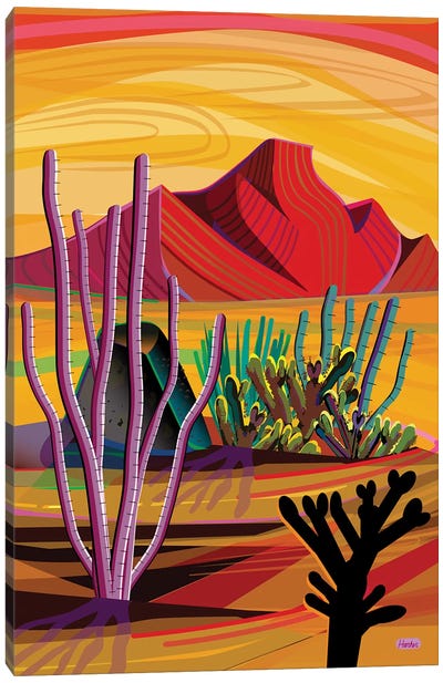 Love Mountain Canvas Art Print - Cactus Art