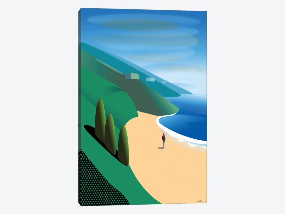 San Gregorio Beach by Charles Harker 1-piece Canvas Print