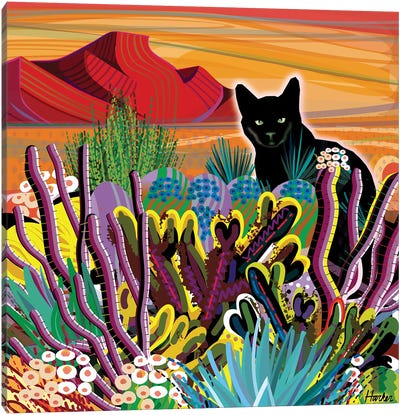 Pinacate Primavera Canvas Art Print - Black Cat Art
