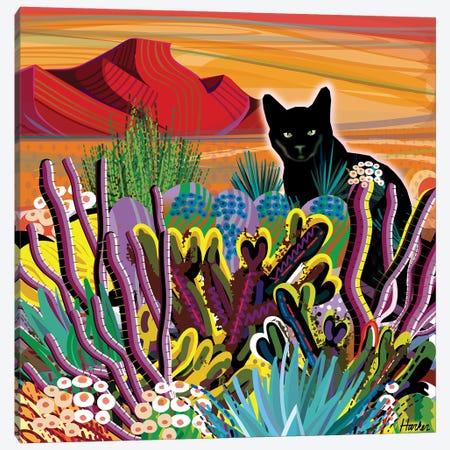 Pinacate Primavera Canvas Print #HRK239} by Charles Harker Canvas Artwork