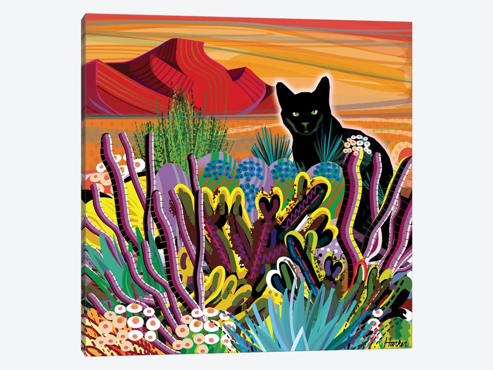 Pinacate Primavera by Charles Harker 1-piece Canvas Artwork