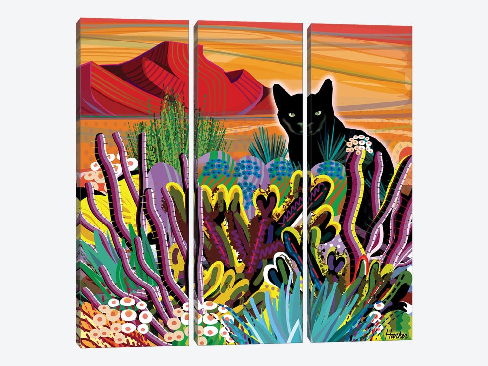 Pinacate Primavera by Charles Harker 3-piece Canvas Art