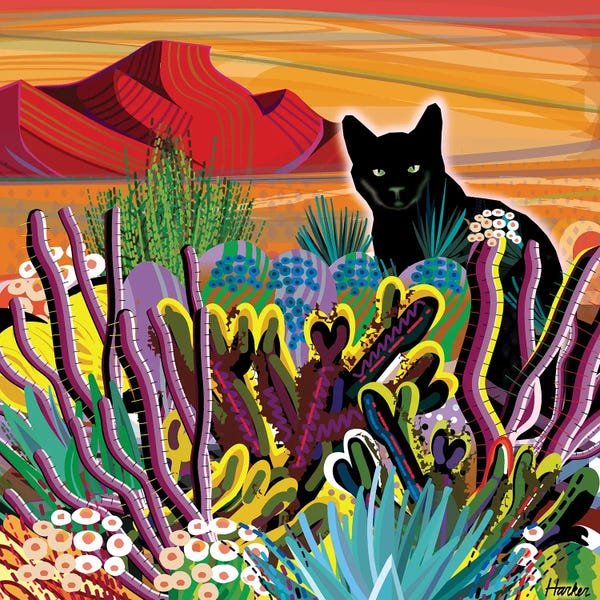 Black Cats: Pinacate Primavera by Charles Harker