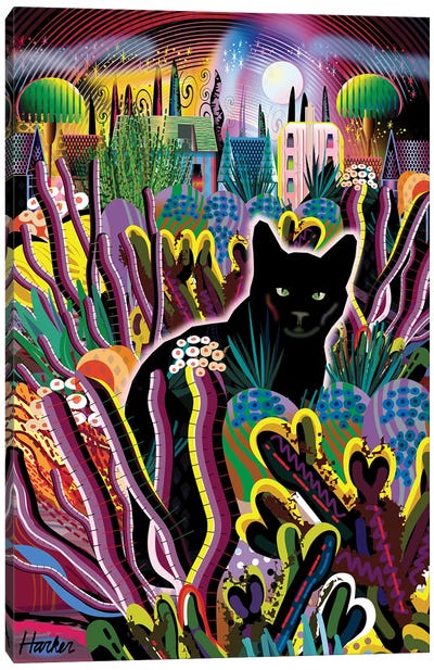 Le Chat Noir Canvas Art Print - Charles Harker
