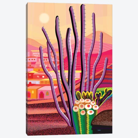 Ocotillo Canvas Print #HRK256} by Charles Harker Canvas Print