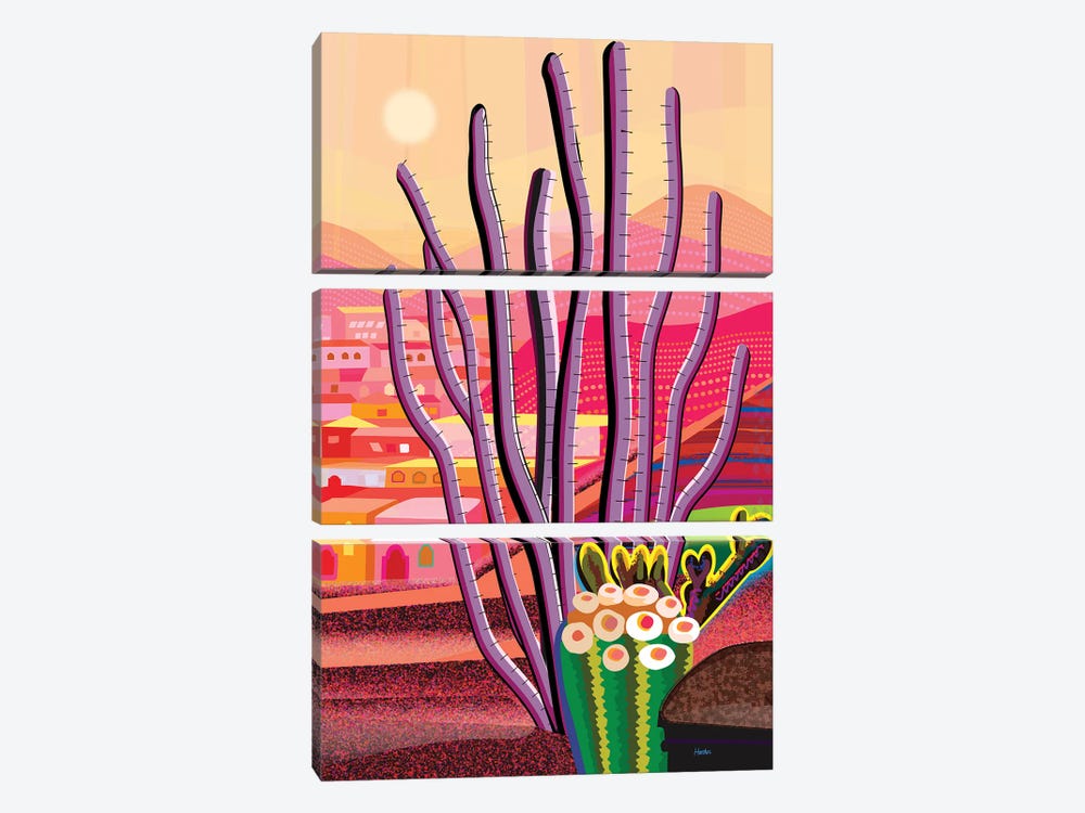 Ocotillo by Charles Harker 3-piece Canvas Art Print