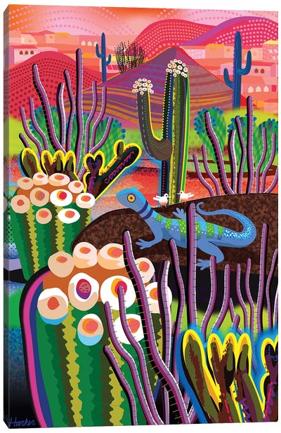 Sunnyslope Canvas Art Print - Cactus Art