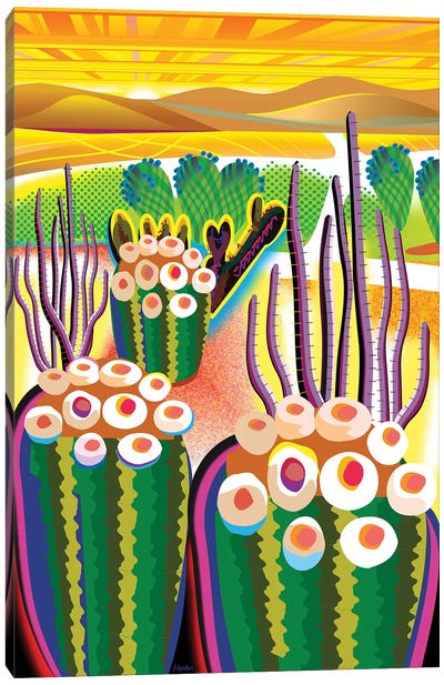 Morongo Valley Canvas Art Print - Cactus Art