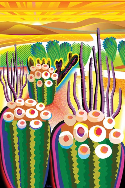 Latin Décor: Morongo Valley by Charles Harker